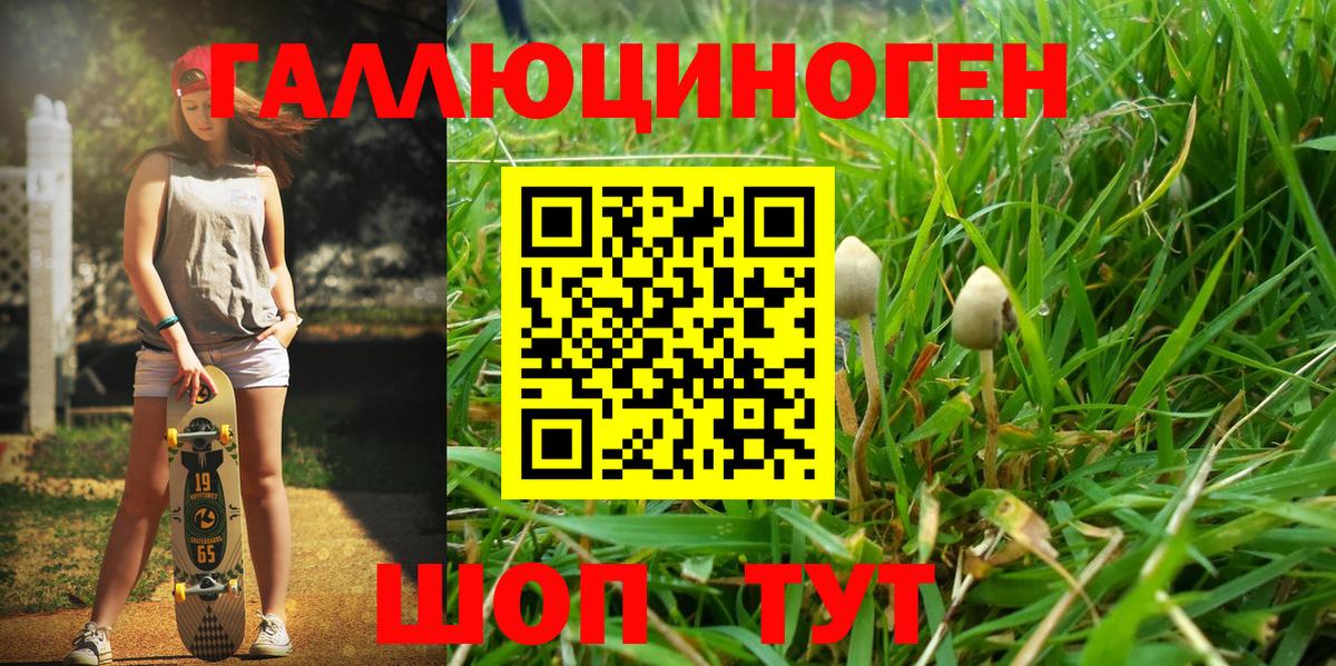 Киселёвск  Псилоцибиновые грибы мухоморы  Псилоцибиновые грибы Psilocybine cubensis  Вход с VPN 